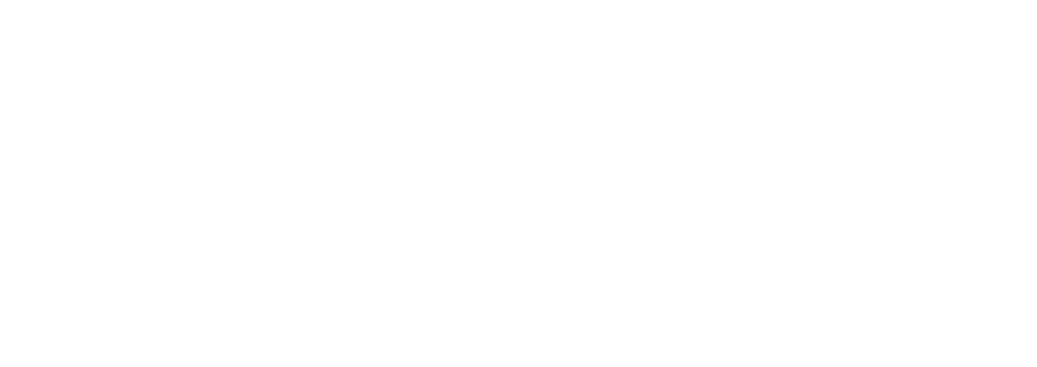 REACH Healthcare Foundation Logo